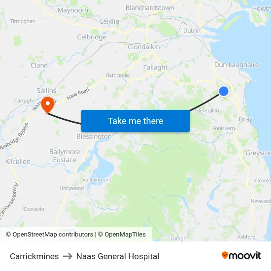 Carrickmines to Naas General Hospital map