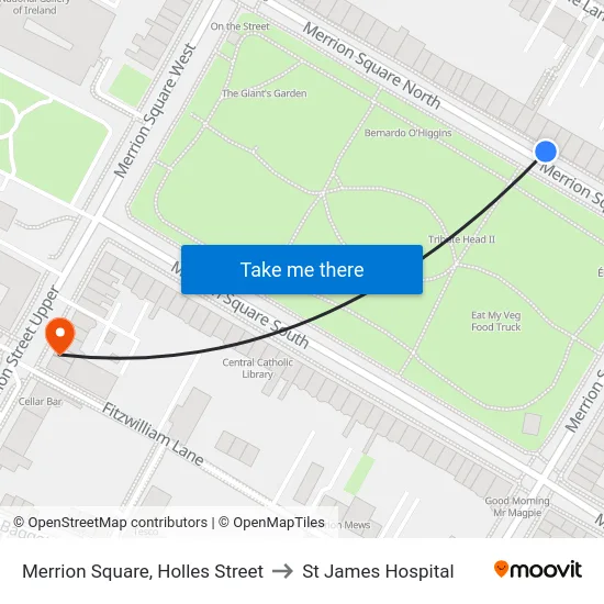 Merrion Square, Holles Street to St James Hospital map