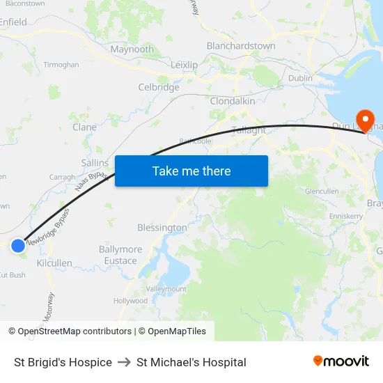 St Brigid's Hospice to St Michael's Hospital map