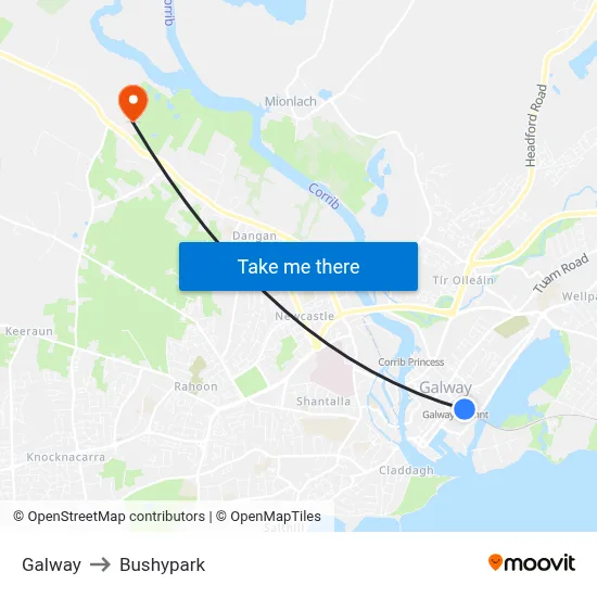 Galway to Bushypark map