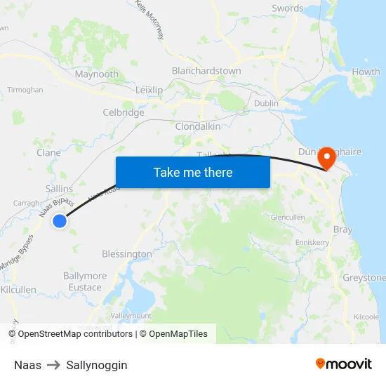 Naas to Sallynoggin map
