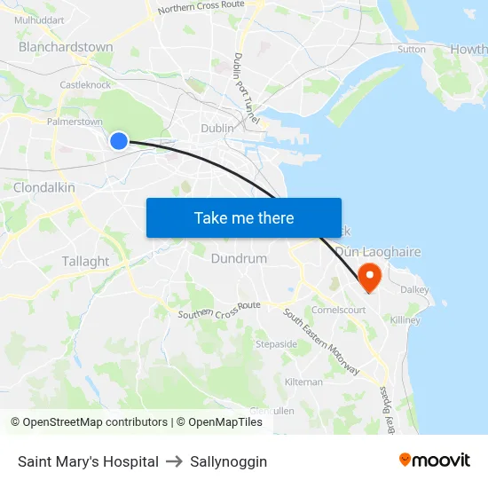 Saint Mary's Hospital to Sallynoggin map