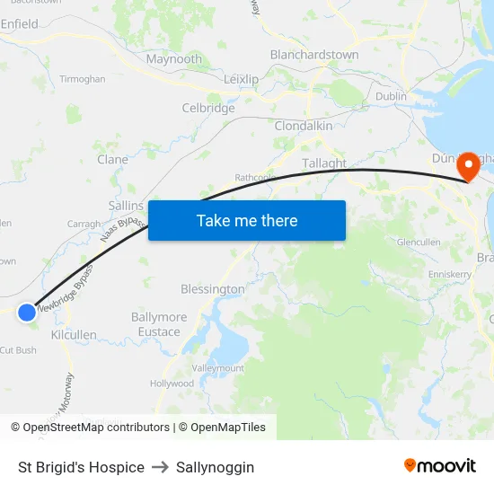 St Brigid's Hospice to Sallynoggin map
