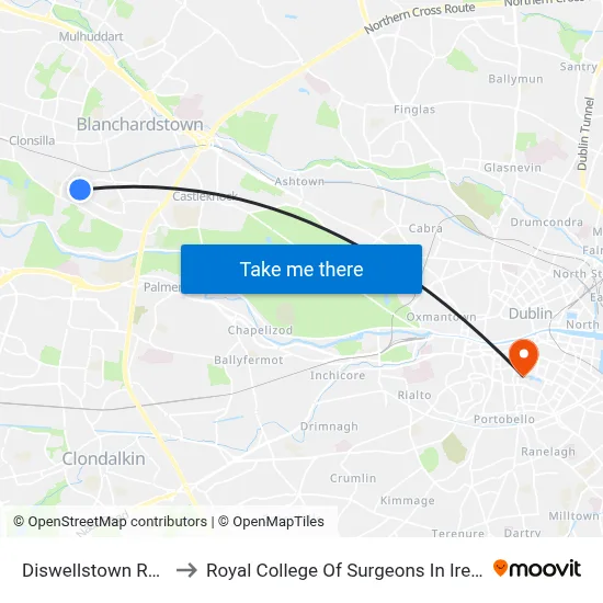 Diswellstown Road to Royal College Of Surgeons In Ireland map