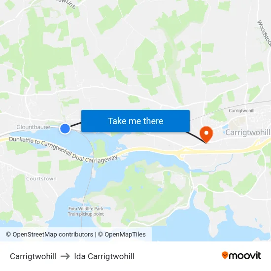 Carrigtwohill to Ida Carrigtwohill map
