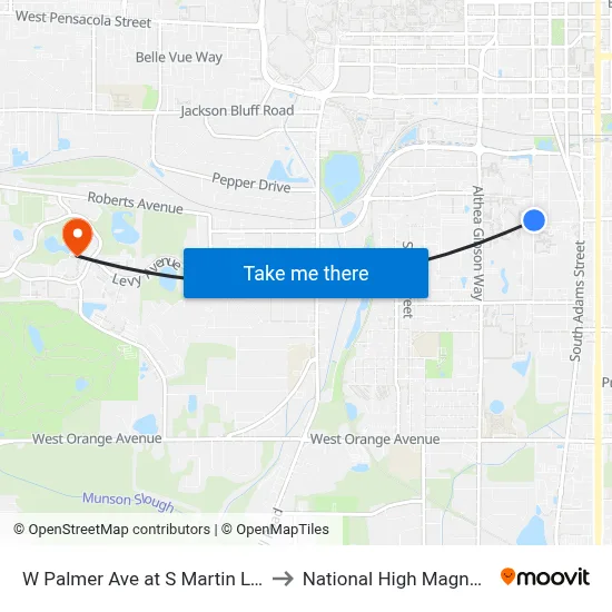 W Palmer Ave at S Martin Luther King Blvd to National High Magnetic Field Lab map