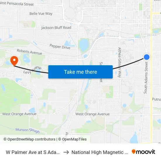 W Palmer Ave at S Adams St Eb to National High Magnetic Field Lab map
