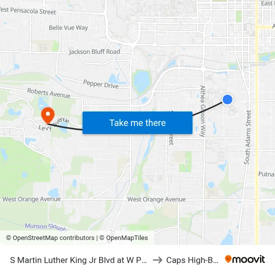 S Martin Luther King Jr Blvd at W Palmer Ave Sb to Caps High-Bay Lab map