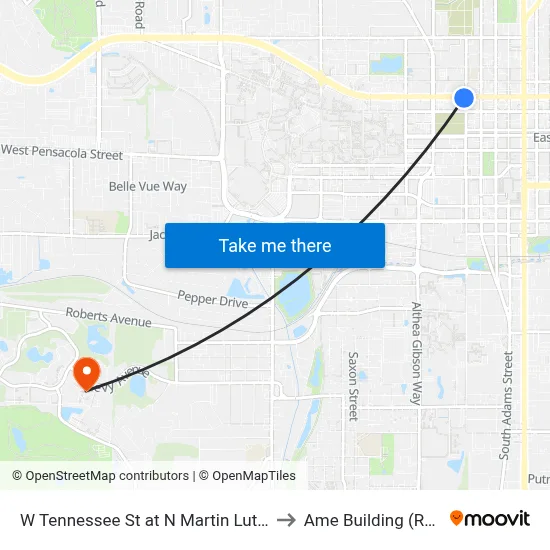 W Tennessee St at N Martin Luther King Jr Blvd Eb to Ame Building (Research #4) map