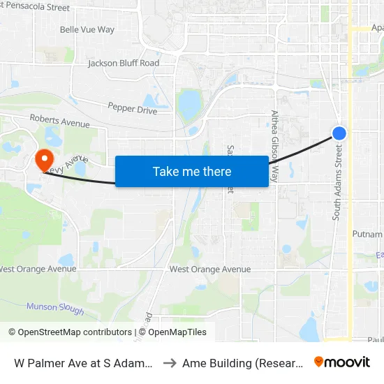 W Palmer Ave at S Adams St Eb to Ame Building (Research #4) map
