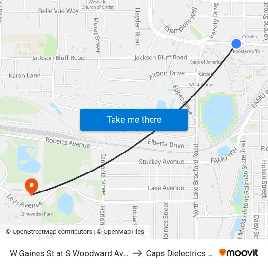 W Gaines St at S Woodward Ave Eb to Caps Dielectrics Lab map