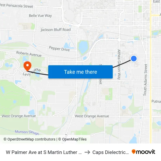 W Palmer Ave at S Martin Luther King Blvd to Caps Dielectrics Lab map