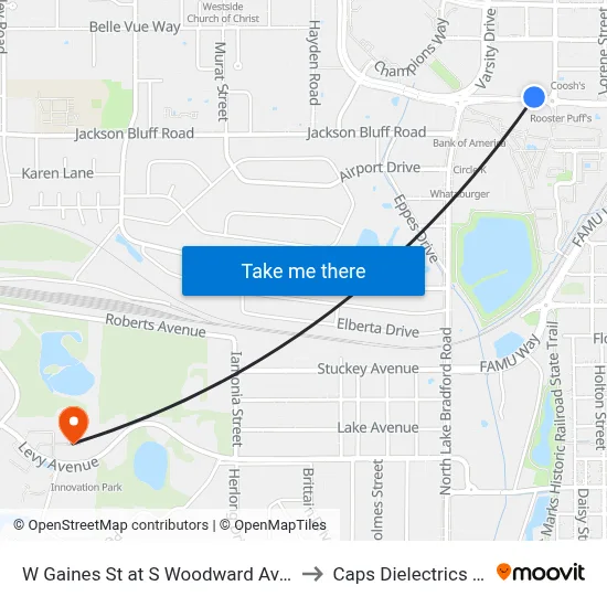 W Gaines St at S Woodward Ave Wb to Caps Dielectrics Lab map