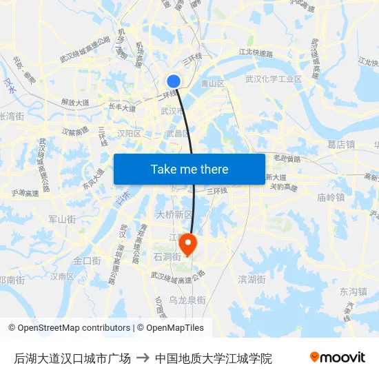 后湖大道汉口城市广场 to 中国地质大学江城学院 map