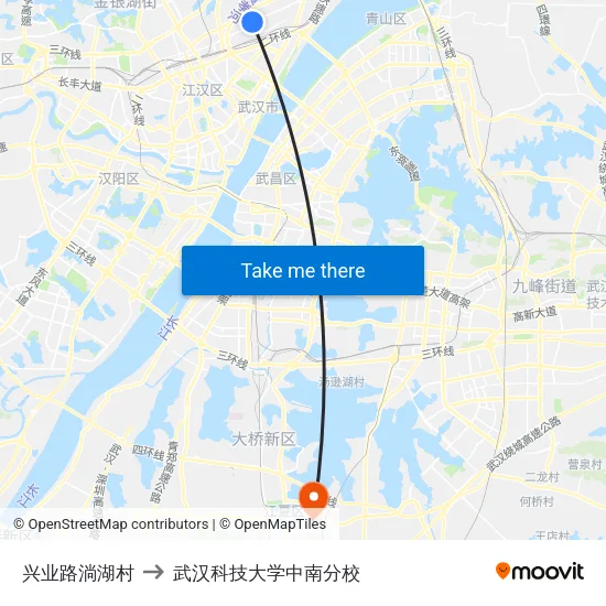 兴业路淌湖村 to 武汉科技大学中南分校 map