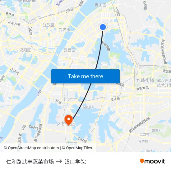 仁和路武丰蔬菜市场 to 汉口学院 map