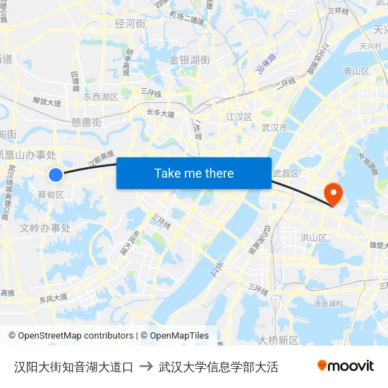 汉阳大街知音湖大道口 to 武汉大学信息学部大活 map