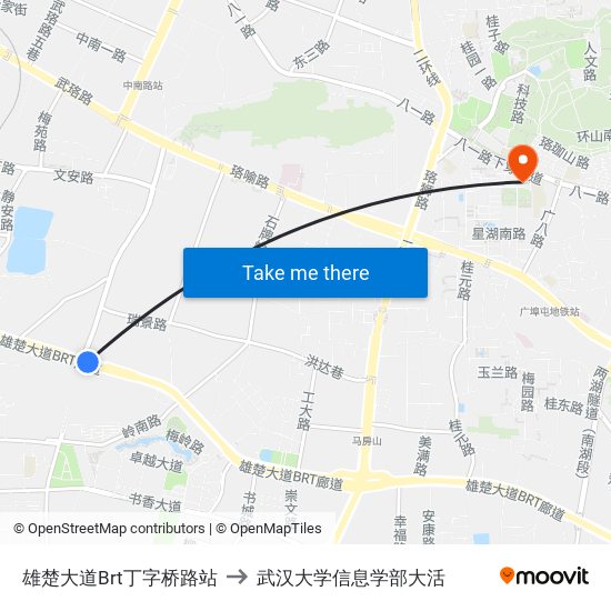 雄楚大道Brt丁字桥路站 to 武汉大学信息学部大活 map
