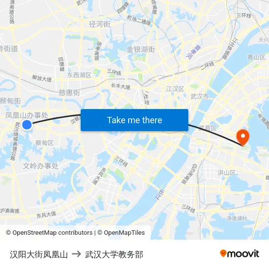 汉阳大街凤凰山 to 武汉大学教务部 map