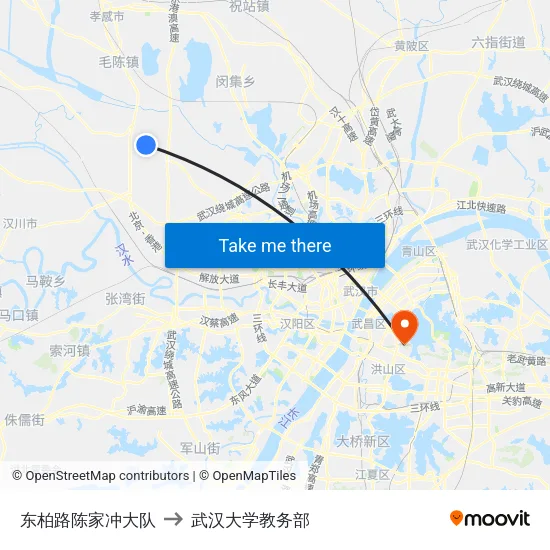 东柏路陈家冲大队 to 武汉大学教务部 map