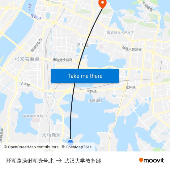 环湖路汤逊湖壹号北 to 武汉大学教务部 map