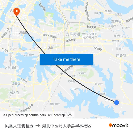 凤凰大道碧桂园 to 湖北中医药大学昙华林校区 map