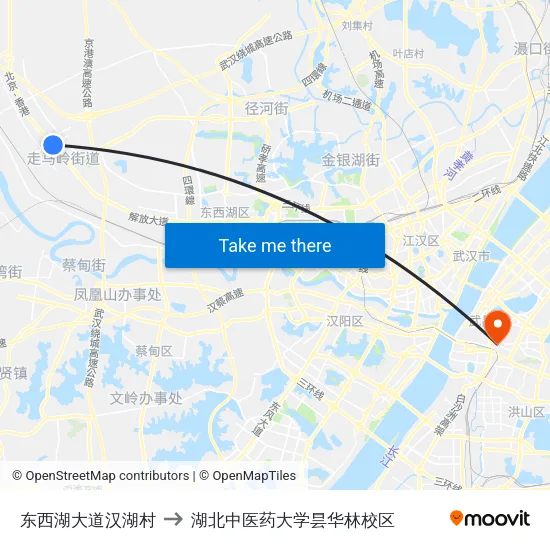 东西湖大道汉湖村 to 湖北中医药大学昙华林校区 map