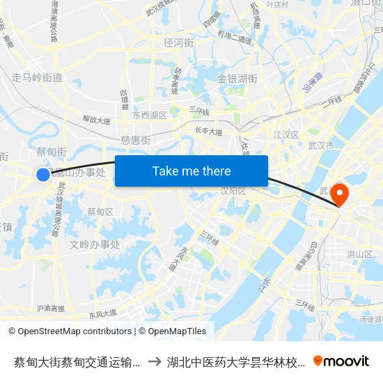 蔡甸大街蔡甸交通运输局 to 湖北中医药大学昙华林校区 map