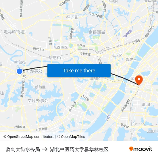 蔡甸大街水务局 to 湖北中医药大学昙华林校区 map