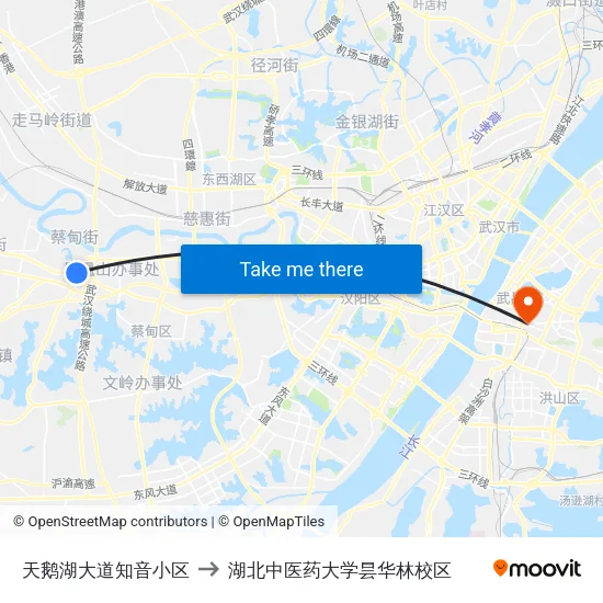 天鹅湖大道知音小区 to 湖北中医药大学昙华林校区 map
