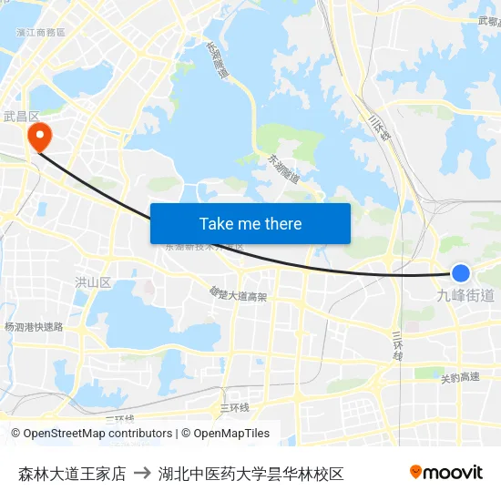 森林大道王家店 to 湖北中医药大学昙华林校区 map