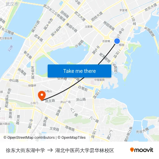 徐东大街东湖中学 to 湖北中医药大学昙华林校区 map