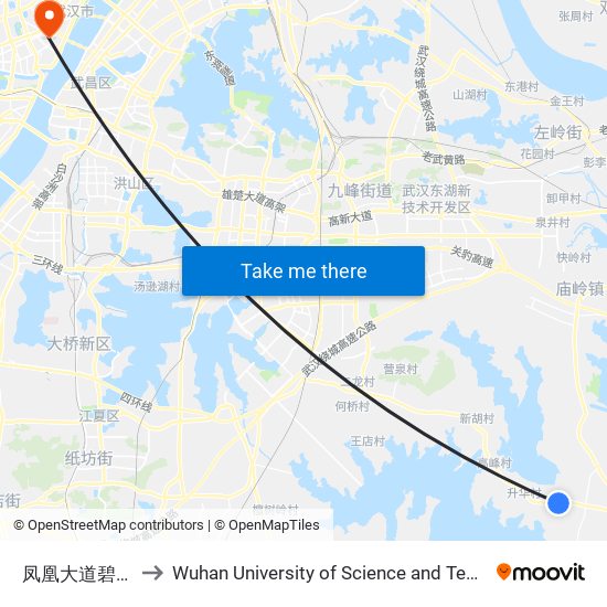 凤凰大道碧桂园 to Wuhan University of Science and Technology map