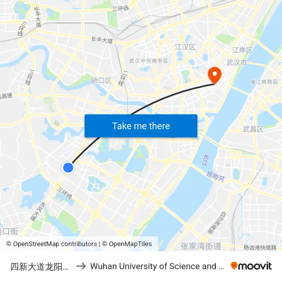 Sixin Avenue - Longyang Avenue Intersection to Wuhan University of Science and Technology map