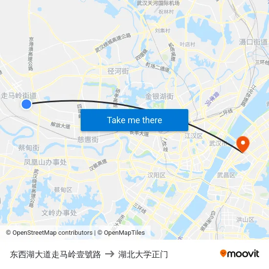东西湖大道走马岭壹號路 to 湖北大学正门 map
