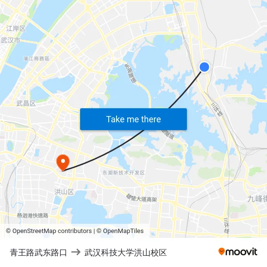 青王路武东路口 to 武汉科技大学洪山校区 map