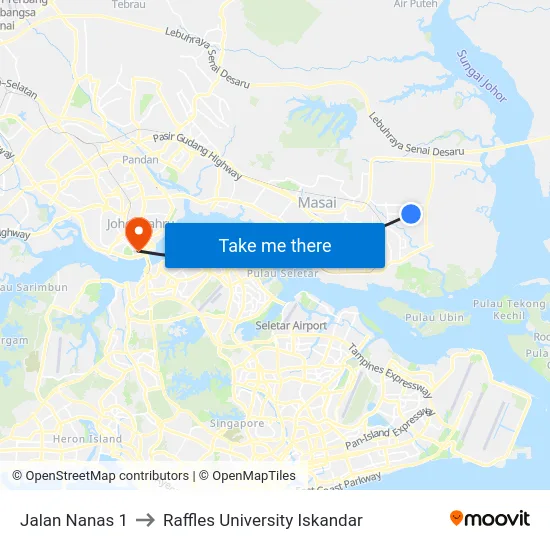 Jalan Nanas 1 to Raffles University Iskandar map