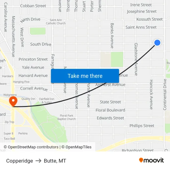 Copperidge to Butte, MT map