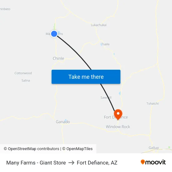 Many Farms- Speedway Store to Fort Defiance, AZ map
