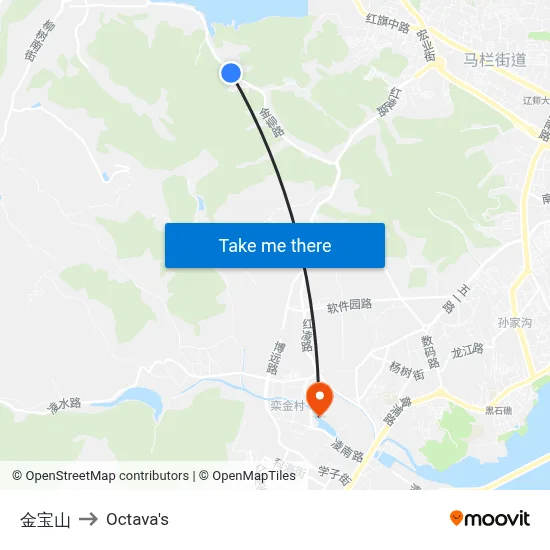 Jinbaoshan to Octava's map