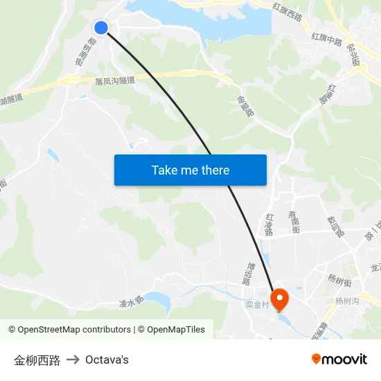 Jinliu West Road to Octava's map