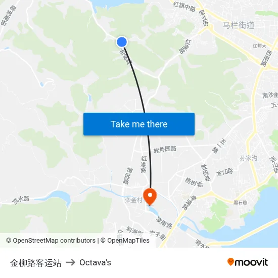 Jinliu Road Bus Station to Octava's map