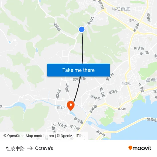 Honglin Middle Road to Octava's map