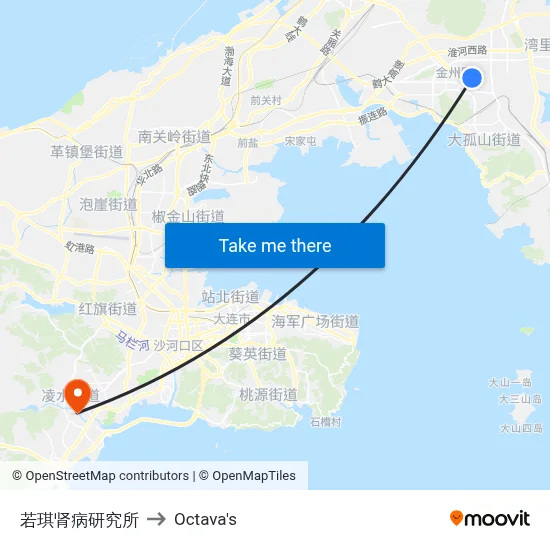 Ruoqi Kidney Research Institute to Octava's map