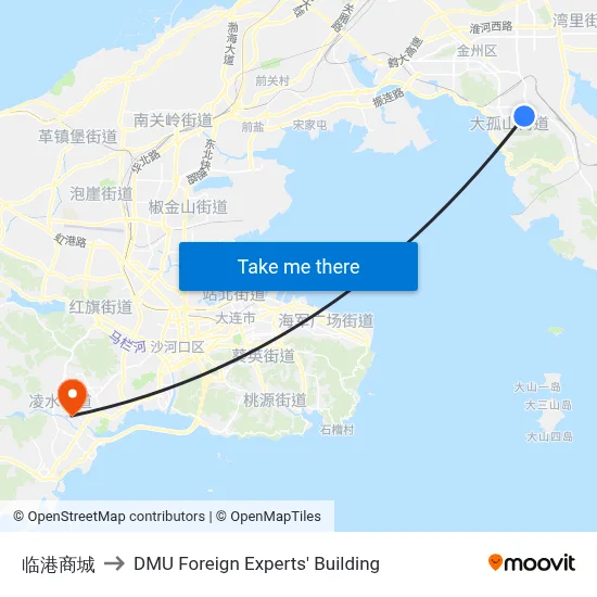 Lingang Mall to DMU Foreign Experts' Building map