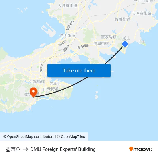 Blueberry Valley to DMU Foreign Experts' Building map