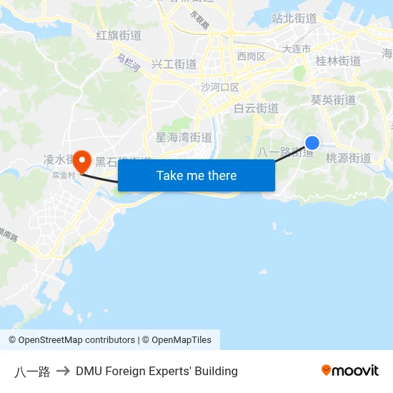Bayi Road to DMU Foreign Experts' Building map