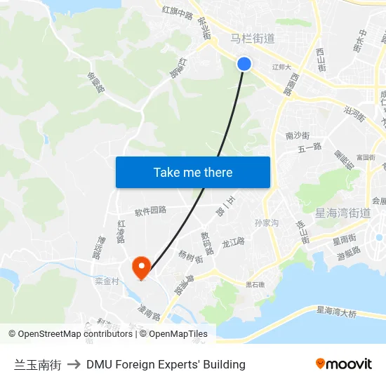 Lanyu South Street to DMU Foreign Experts' Building map