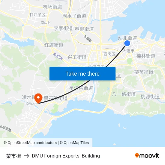 Caishi Street to DMU Foreign Experts' Building map