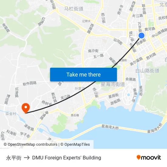 Yongping Street to DMU Foreign Experts' Building map